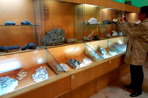 [Bild des Geologischen Museums 2]
