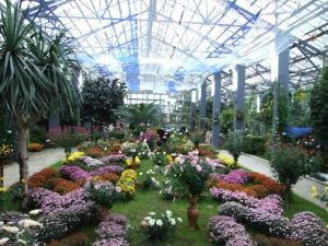 Der Botanische Garten