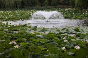 Parcul Circul de Stat