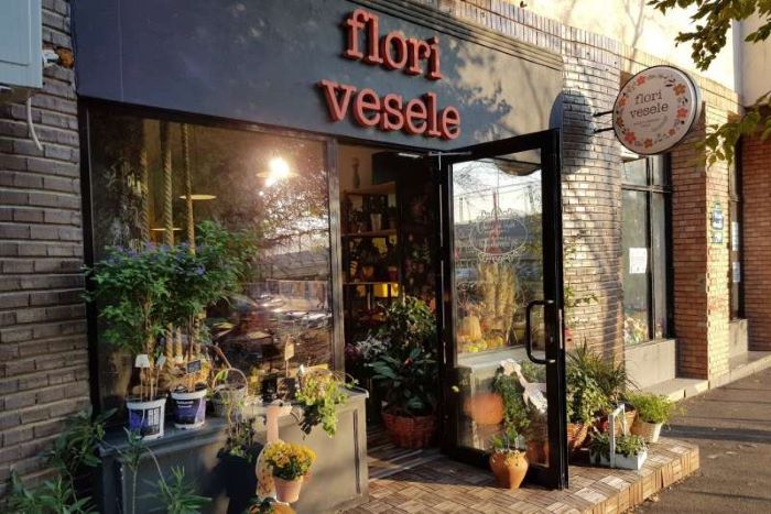 Floare.jpg