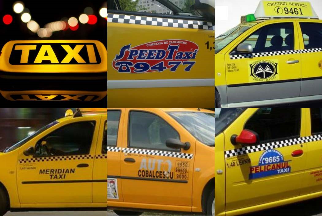 Taxi%20bun.jpeg